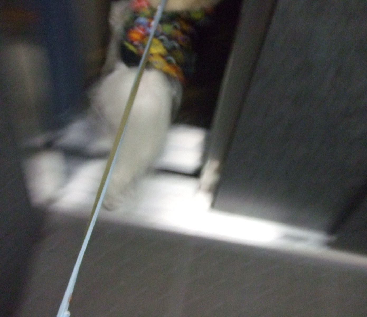 f0148595_8521071.jpg
