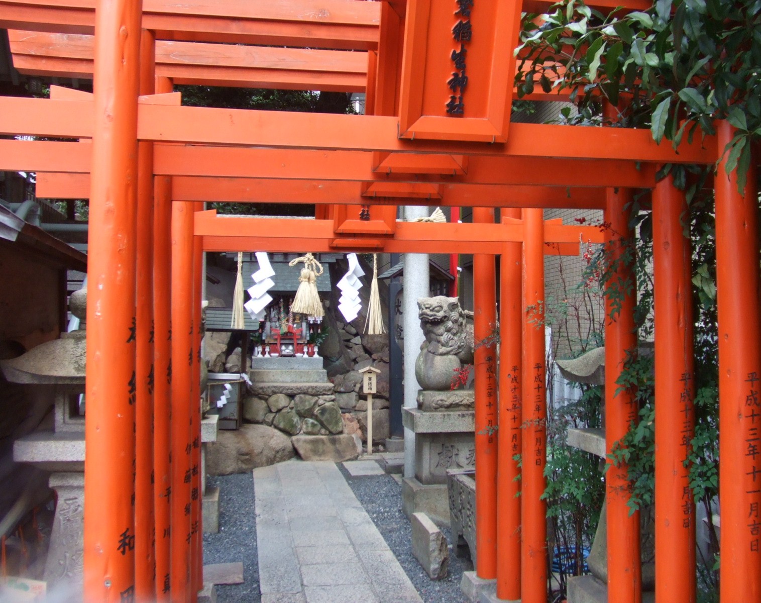 f0148595_934630.jpg