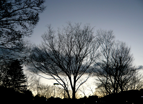 c0124998_2341290.jpg