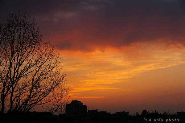 e0008800_23351845.jpg