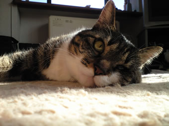 c0035001_21143772.jpg
