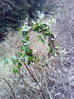 b0083902_212744.jpg