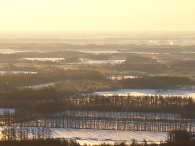 f0020302_20341272.jpg