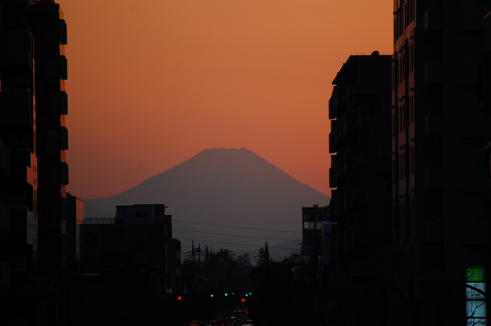d0151003_0493217.jpg