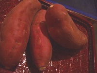 c0148705_2302982.jpg