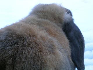 c0081406_15155469.jpg