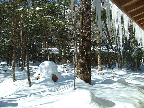 e0015006_23575120.jpg