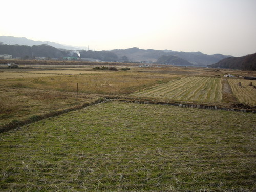 a0091314_2284066.jpg