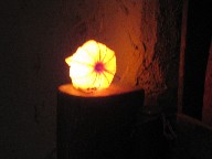 c0054118_2032537.jpg