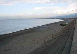 f0086426_935793.jpg
