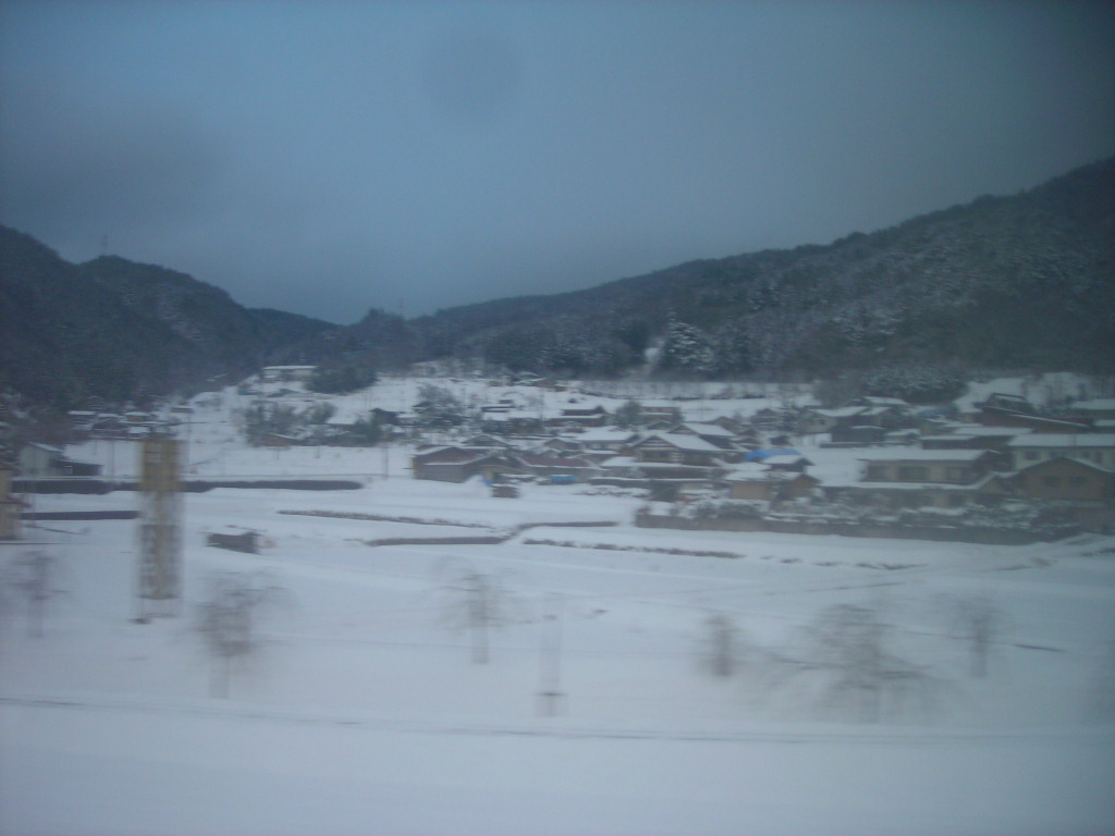 d0144137_1422975.jpg