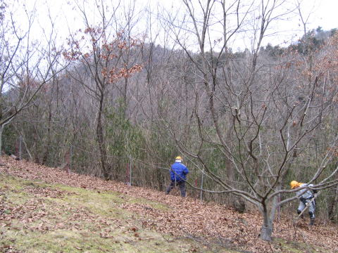 e0049740_1719552.jpg