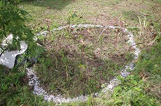 f0120141_17484877.jpg