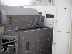 d0035245_15371897.jpg