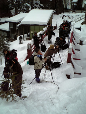 e0041948_1601981.jpg