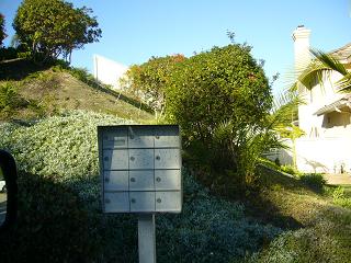 f0062649_954122.jpg