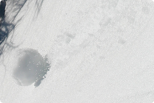 c0136150_16123066.jpg
