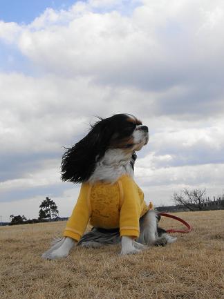 c0145250_11364046.jpg