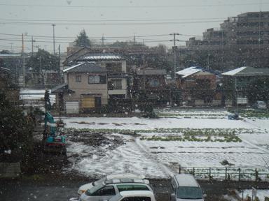f0046854_2045033.jpg