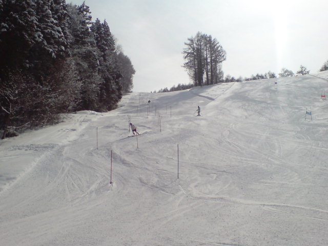 b0085469_1710163.jpg