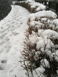 c0027369_1841290.jpg