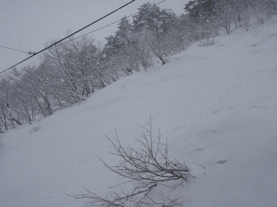 f0158880_232396.jpg