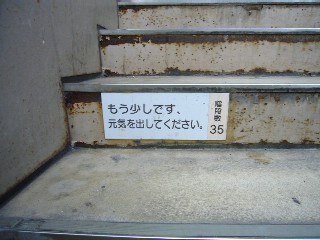 d0075582_2054021.jpg