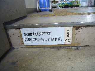 d0075582_20542140.jpg