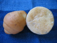 e0049598_8493213.jpg