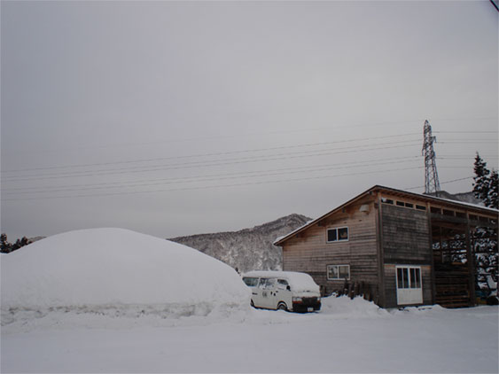 a0061599_7555299.jpg