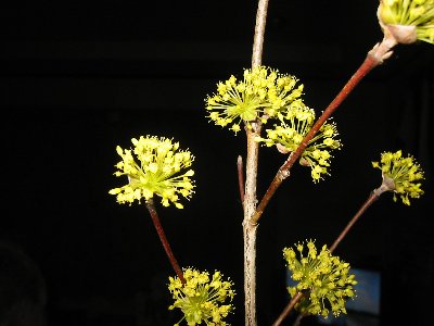 e0122199_2314164.jpg