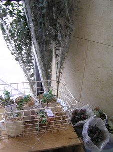 f0109900_21341652.jpg