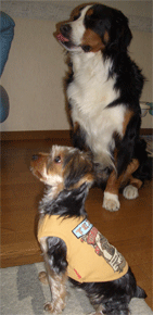 c0143711_16205548.gif