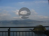 b0062019_21373411.jpg