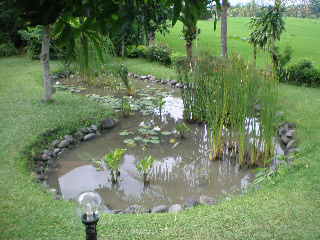 c0095424_1514541.jpg