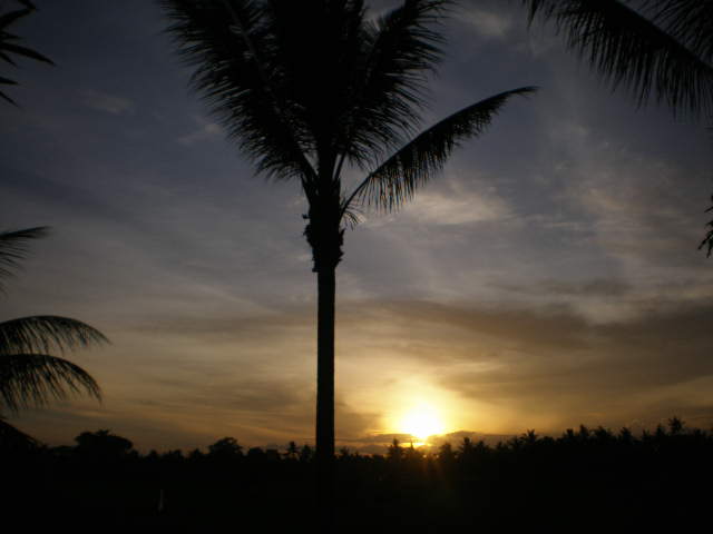 c0095424_15485330.jpg