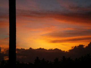 c0095424_15514142.jpg