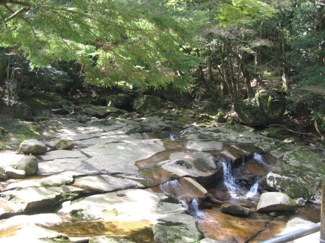 c0117028_23544034.jpg