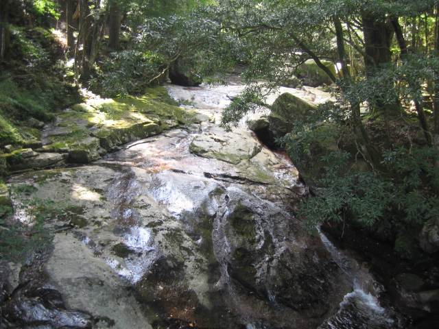 c0117028_23545932.jpg