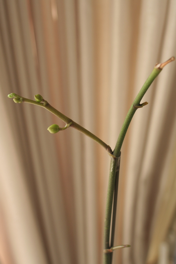 b0093830_1852725.jpg