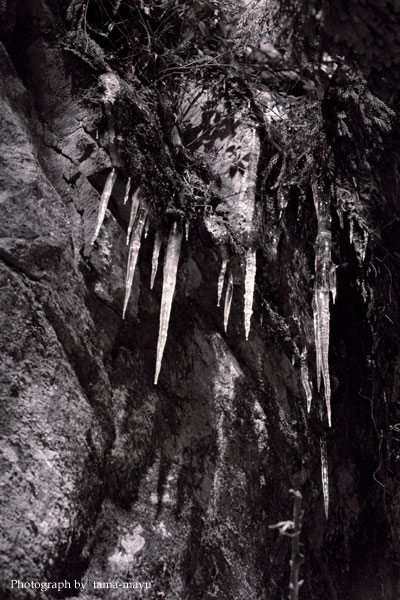 d0036630_18123361.jpg