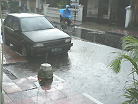 b0090333_15335671.jpg