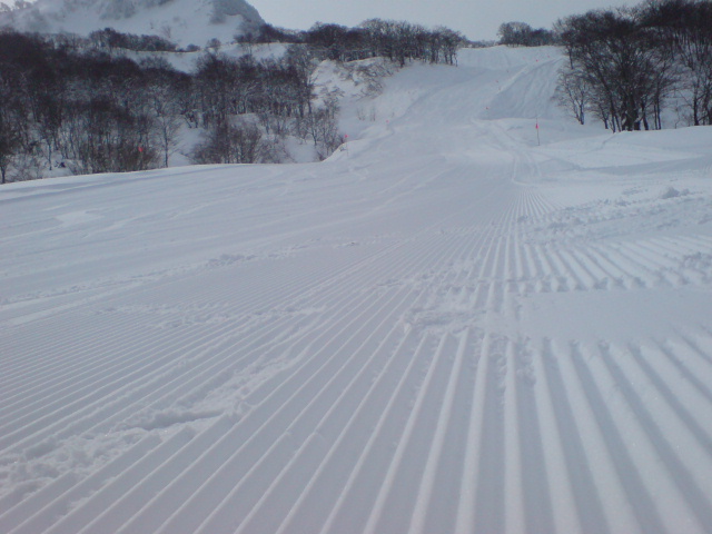 c0054838_8295475.jpg