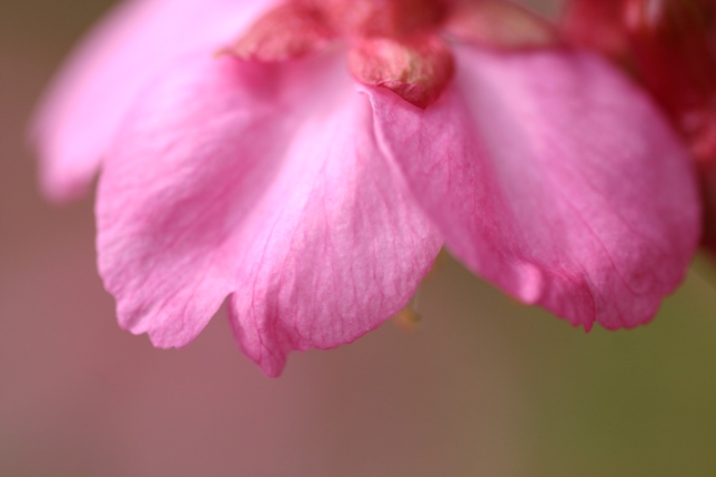 e0083238_2215741.jpg