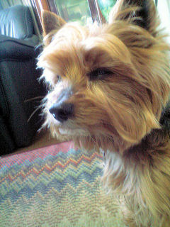 c0033145_17421464.jpg