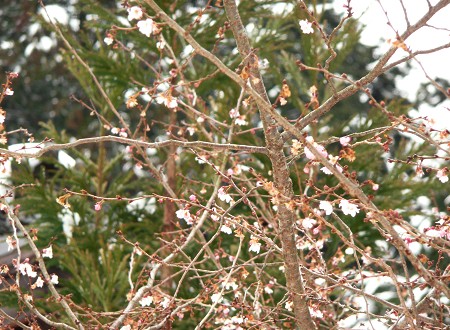 c0057946_19362267.jpg