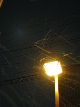 b0039350_2551414.jpg