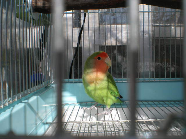 d0142061_13302272.jpg