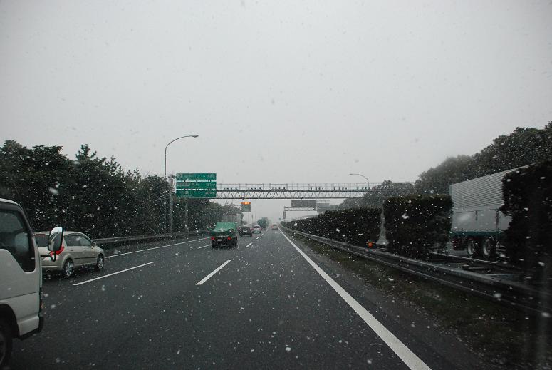 e0089761_17175.jpg