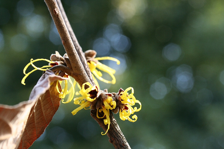 b0084270_6465154.jpg